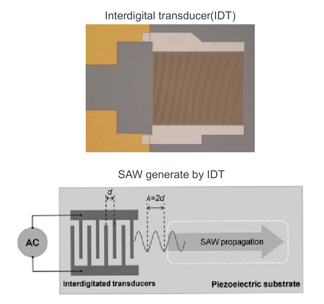 Optical image of an interdigital transducer and a schematic of SAW generation