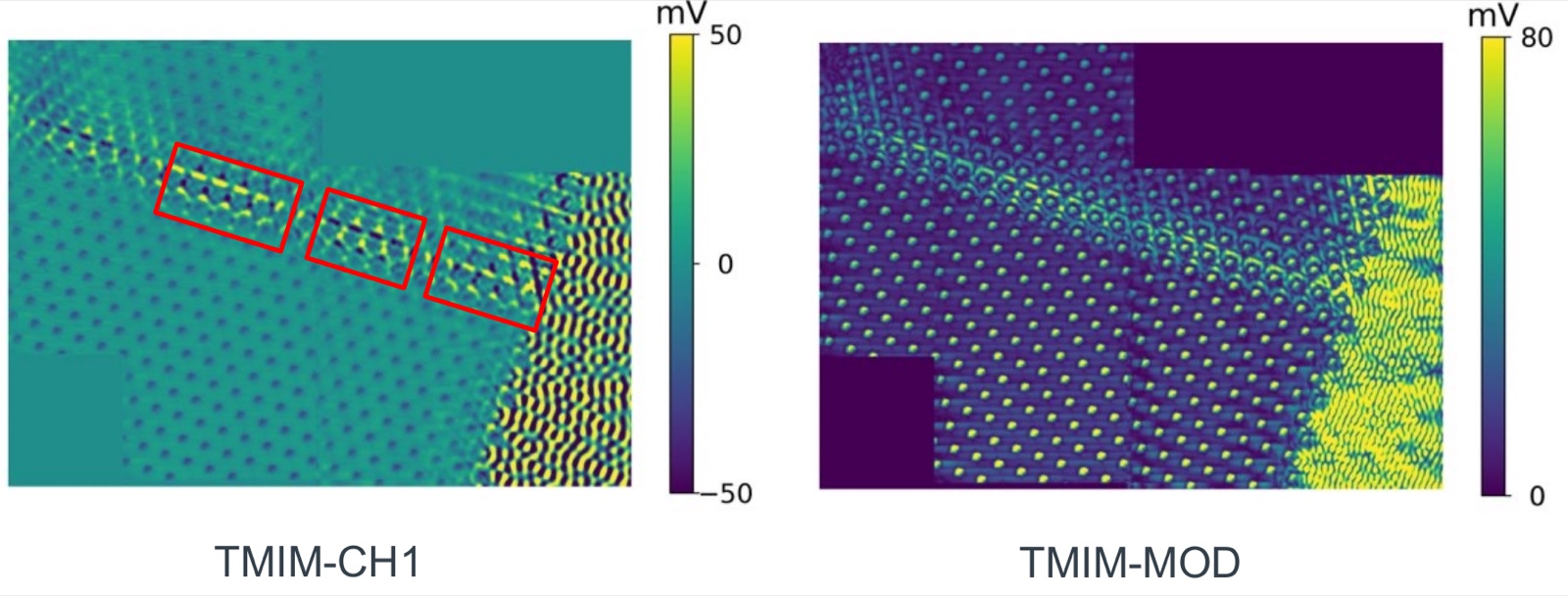 TMIM channel-1 and amplitude maps along the trivial/non-trivial interface, with red boxes marking a periodic field pattern