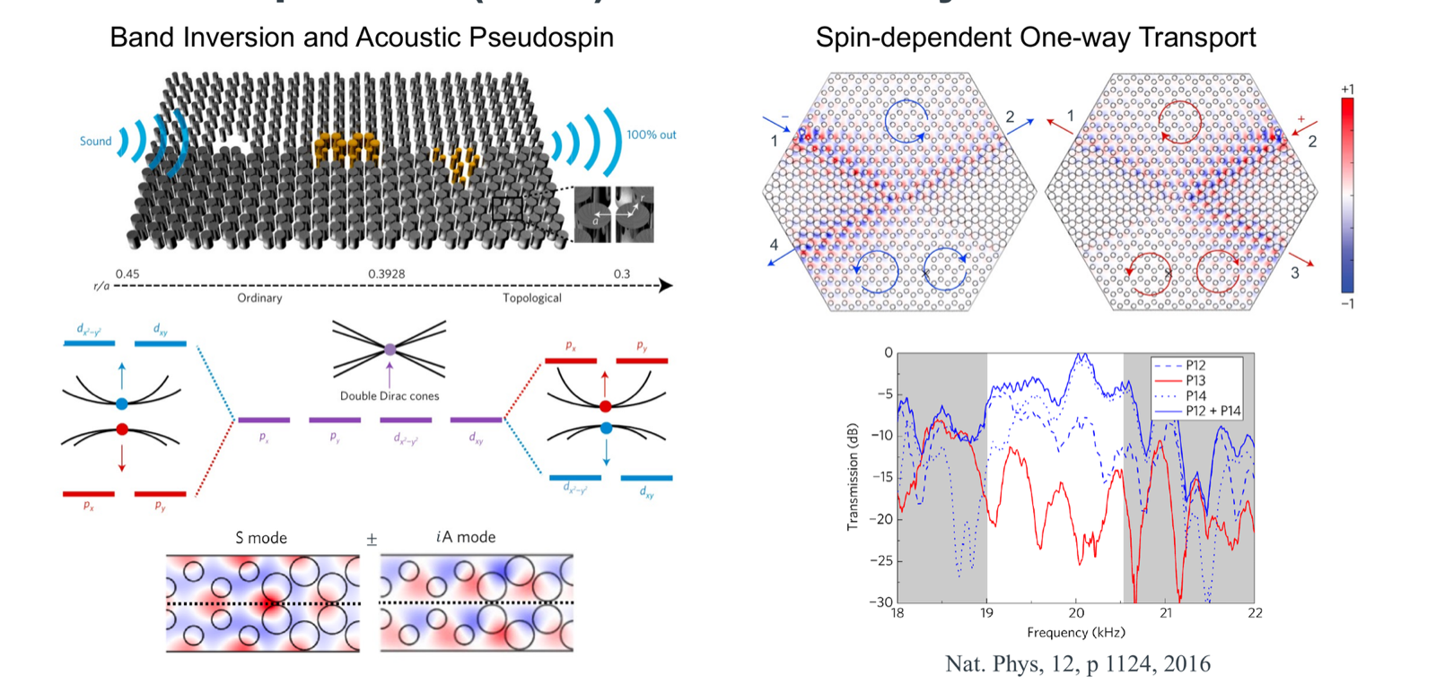 Band inversion, double Dirac cone and pseudospin modes of an acoustic topological insulator, with one-way transport simulations and transmission spectra